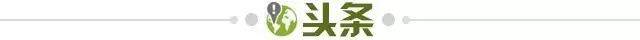 76ef8bf5-316c-4505-bca6-32e82f3854f6.jpg@!img01
